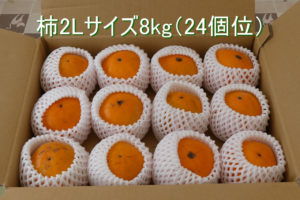 Read more about the article 贈答用柿　2L　8kg